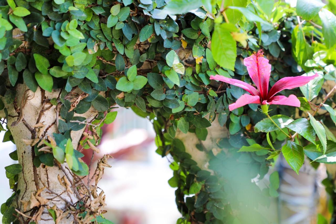 Almond Tree Inn - Adults Only Key West Exteriör bild