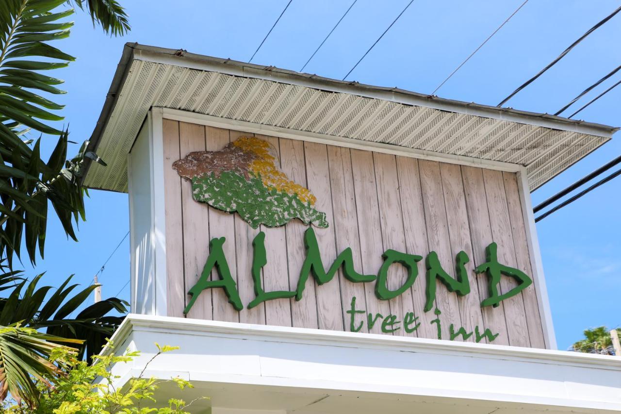 Almond Tree Inn - Adults Only Key West Exteriör bild