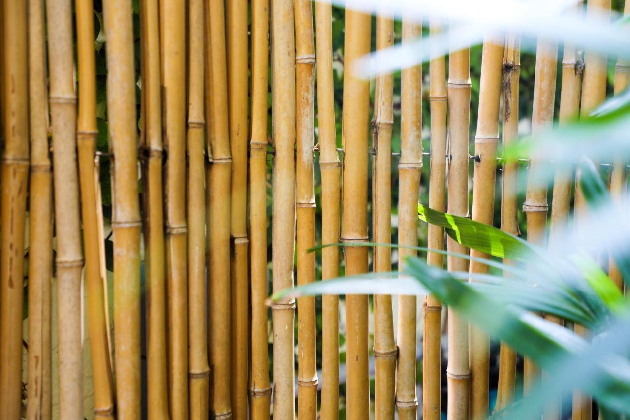 Almond Tree Inn - Adults Only Key West Exteriör bild