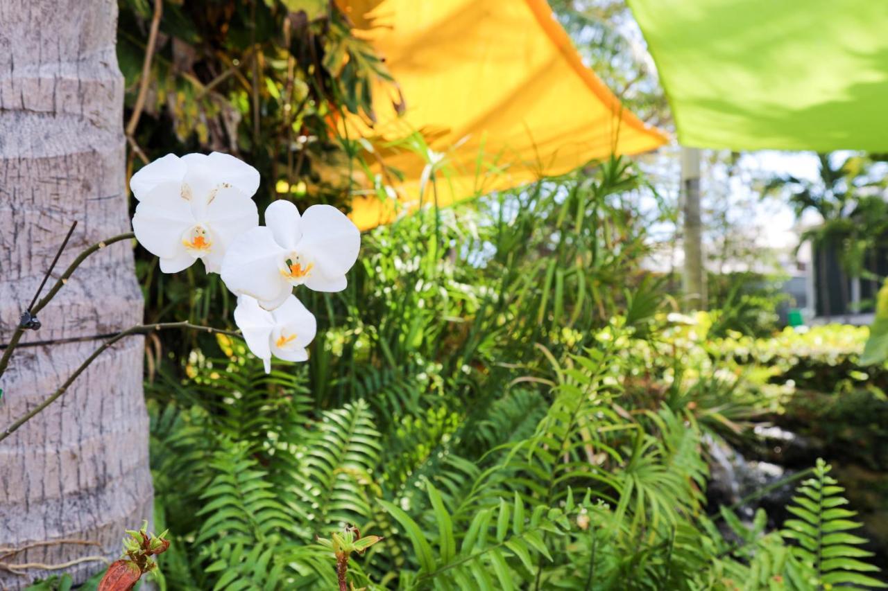 Almond Tree Inn - Adults Only Key West Exteriör bild